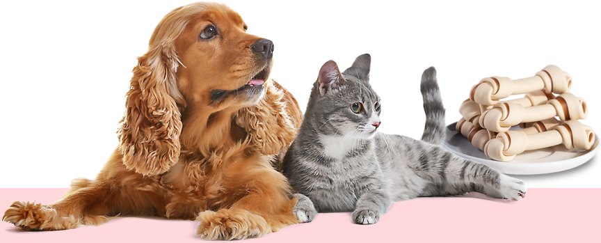 Lishui Tengyu Pet Food Co., Ltd.